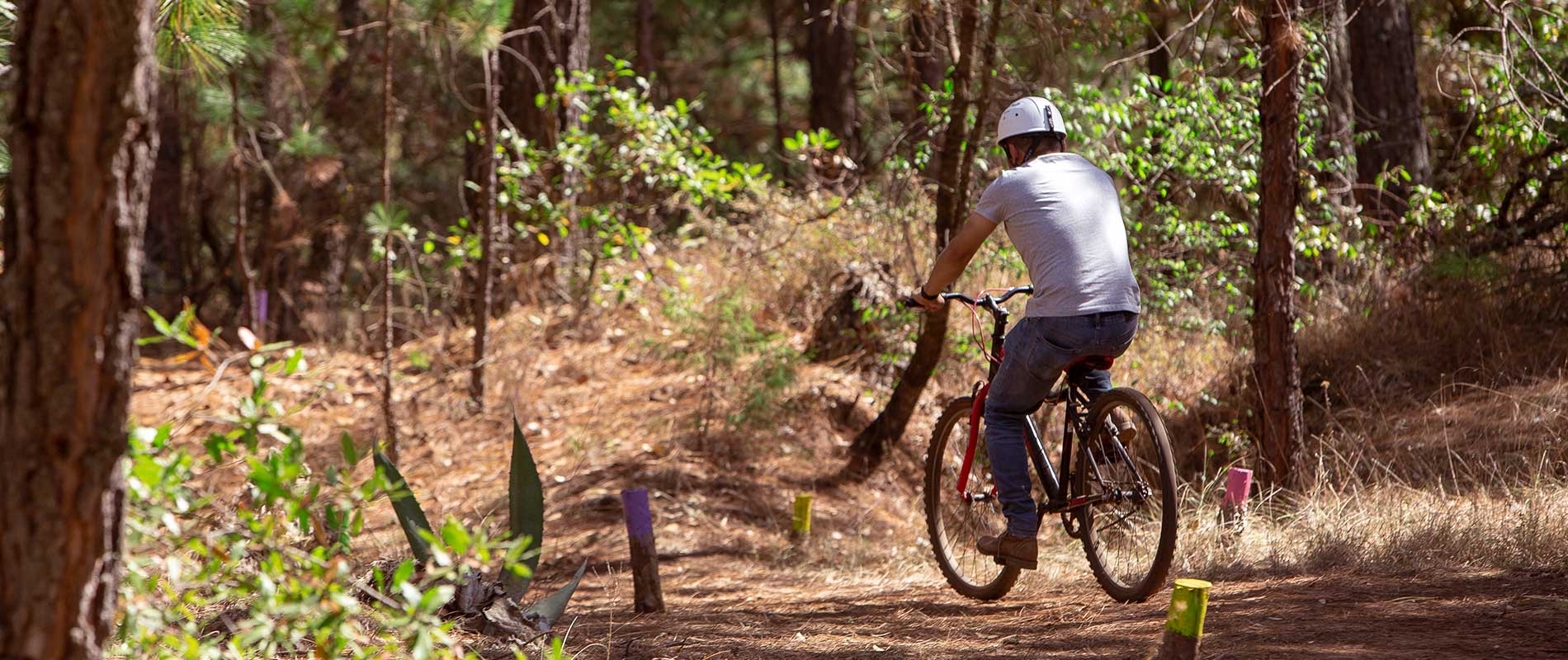 Bicicross - Huasca Sierra Verde