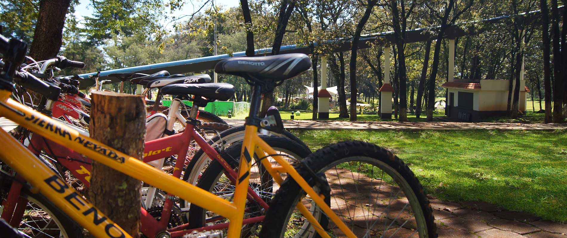 Bicicross - Huasca Sierra Verde