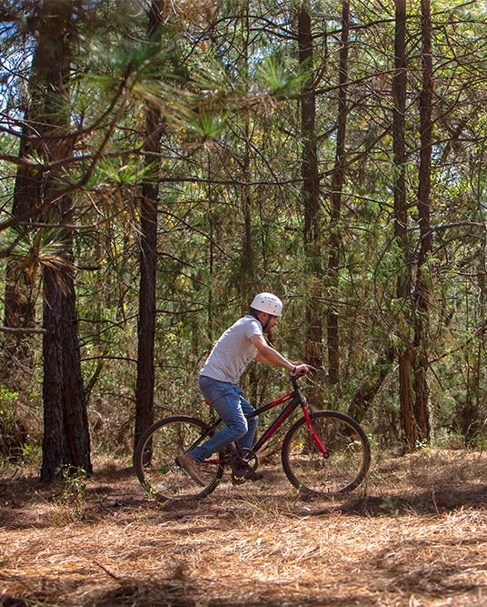 Bicicross - Huasca Sierra Verde