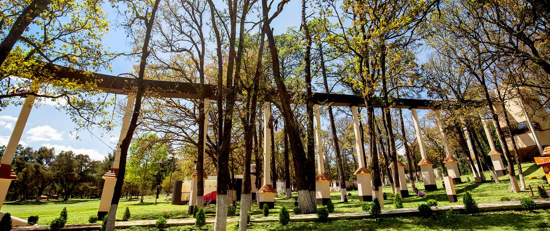 Tobogan - Huasca Sierra Verde