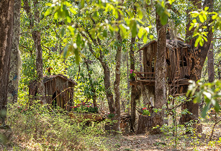 Huasca Sierra Verde - Bosque mágico